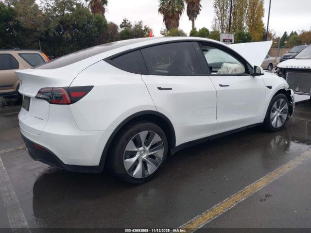 2023 TESLA MODEL Y 7SAYGDEE7PA091564 Photo 3
