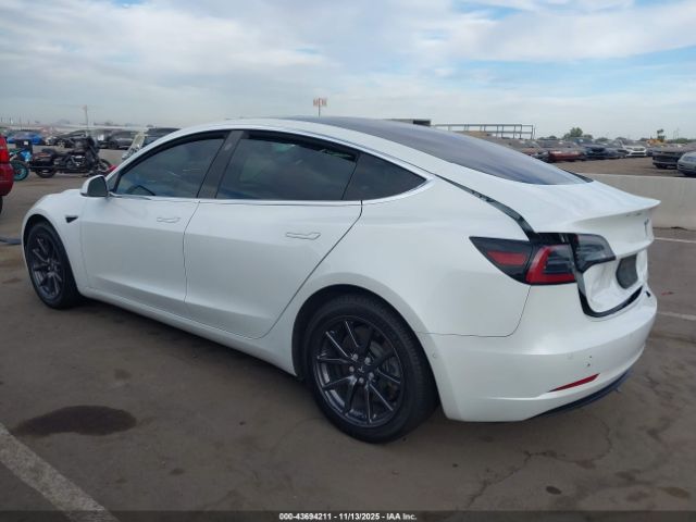 2019 TESLA MODEL 3 5YJ3E1EA6KF310020 Photo 2