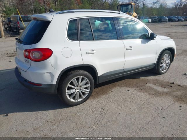 2011 VOLKSWAGEN TIGUAN WVGBV7AX1BW512957 Photo 3
