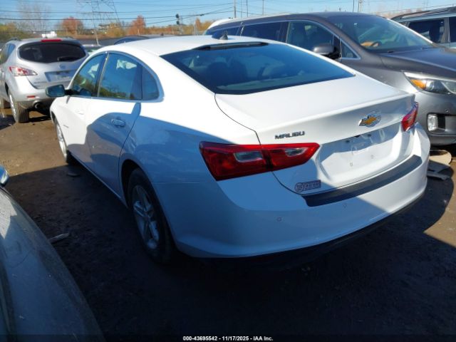 2024 CHEVROLET MALIBU 1G1ZB5ST4RF105651 Photo 2