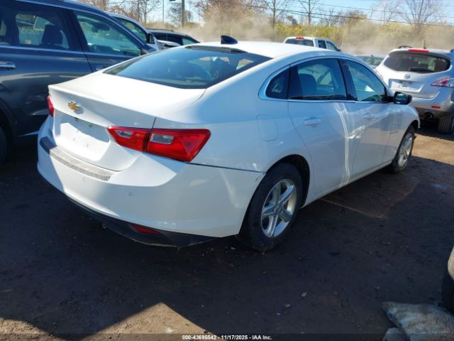 2024 CHEVROLET MALIBU 1G1ZB5ST4RF105651 Photo 3