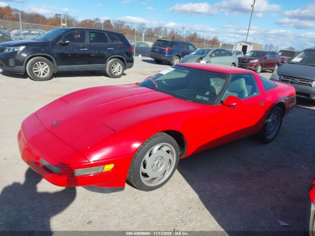 1995 CHEVROLET CORVETTE 1G1YY22P1S5116193 Photo 1