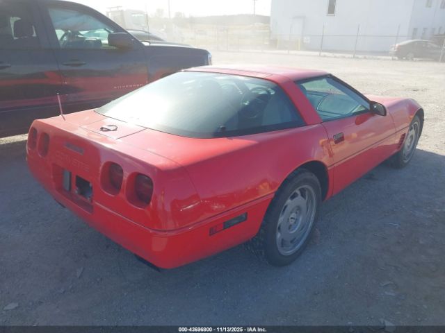 1995 CHEVROLET CORVETTE 1G1YY22P1S5116193 Photo 3