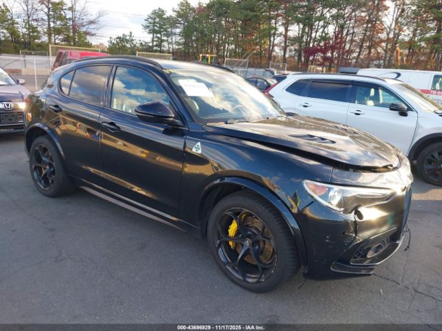 2019 ALFA ROMEO STELVIO ZASPAKEV5K7C31814
