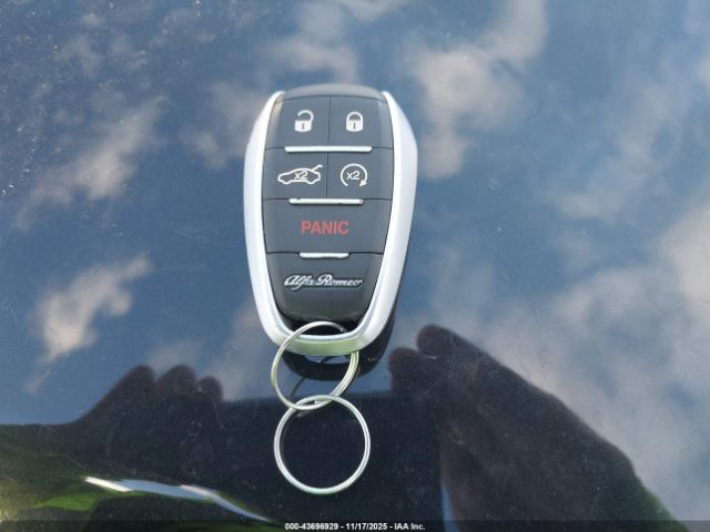 2019 ALFA ROMEO STELVIO ZASPAKEV5K7C31814 Photo 10