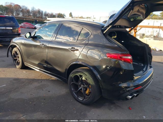 2019 ALFA ROMEO STELVIO ZASPAKEV5K7C31814 Photo 2
