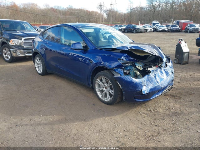 2021 TESLA MODEL Y 5YJYGDEE1MF287396 Photo 0