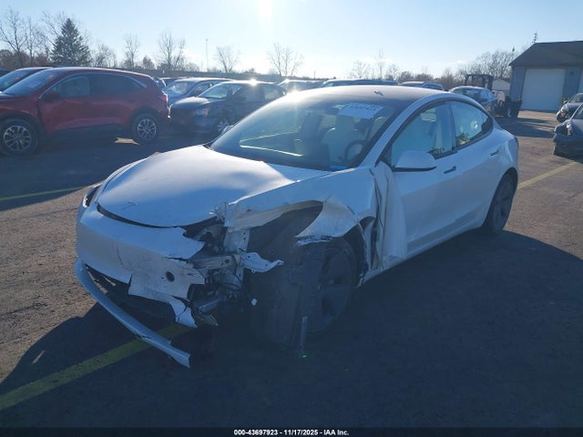 2023 TESLA MODEL 3 5YJ3E1EAXPF551344 Photo 1