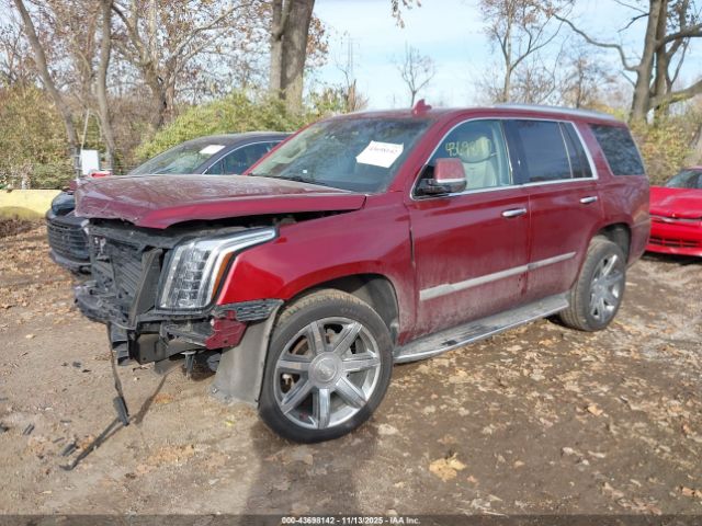 2016 CADILLAC ESCALADE 1GYS4BKJ1GR383428 Photo 1