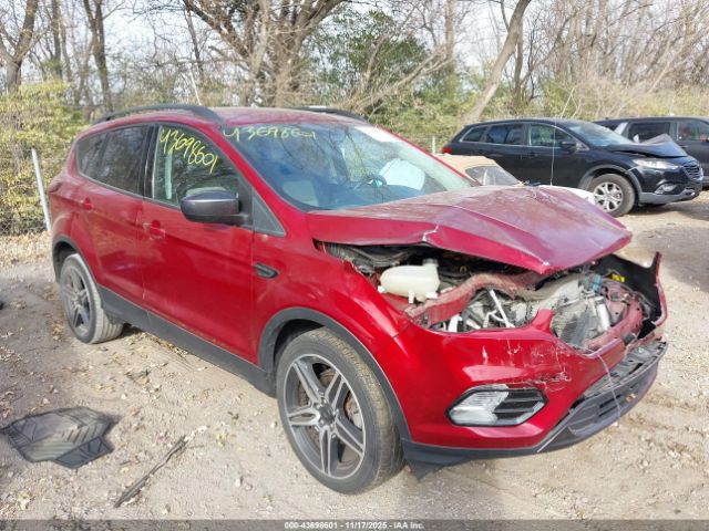 2019 FORD ESCAPE 1FMCU0HD8KUA96170
