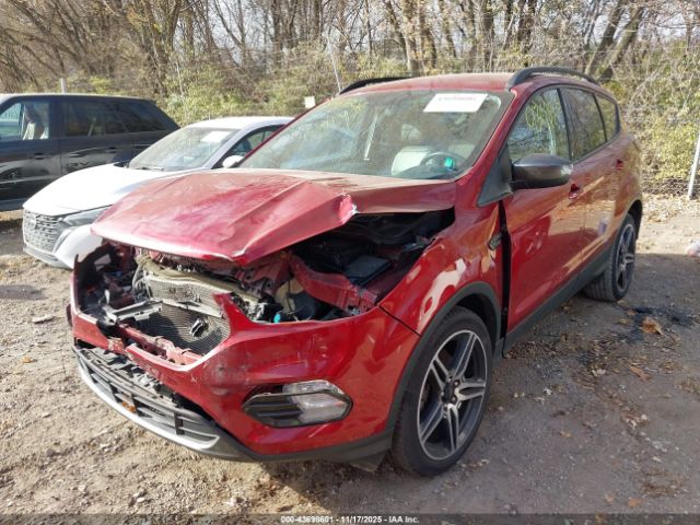 2019 FORD ESCAPE 1FMCU0HD8KUA96170 Photo 1