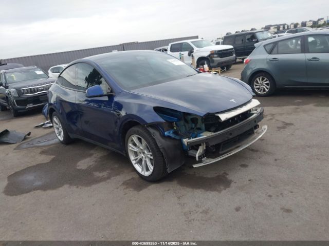 2022 TESLA MODEL Y 7SAYGDEE3NF344718