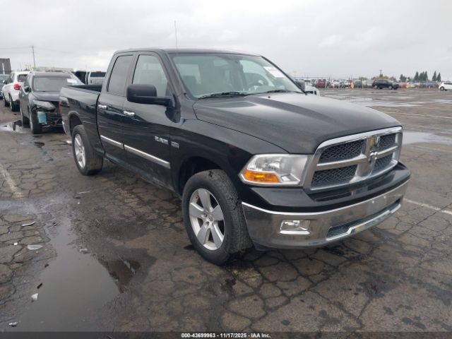 2009 DODGE RAM 1500 1D3HV18TX9S768554