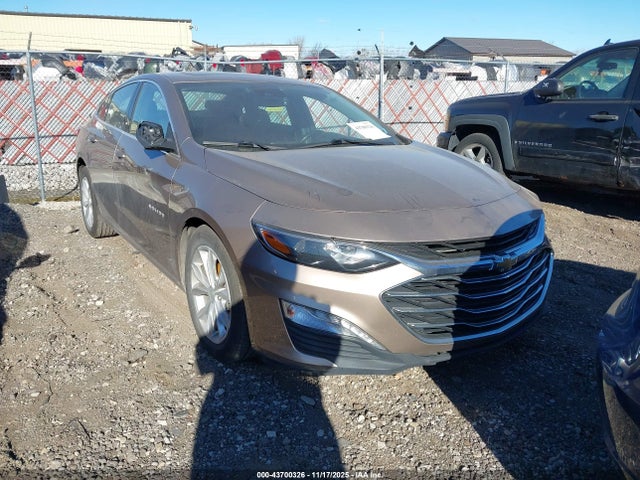 2019 CHEVROLET MALIBU 1G1ZD5ST9KF156319