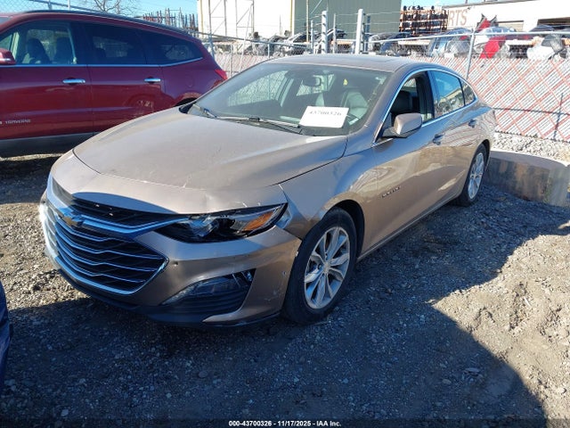 2019 CHEVROLET MALIBU 1G1ZD5ST9KF156319 Photo 1