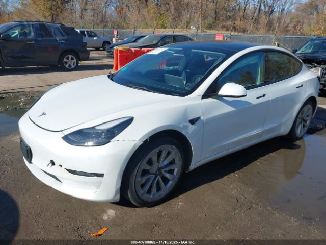 2023 TESLA MODEL 3 5YJ3E1EA4PF449781 Photo 1