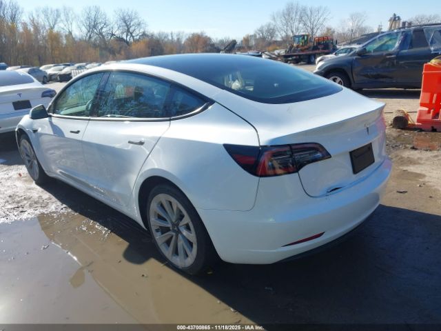 2023 TESLA MODEL 3 5YJ3E1EA4PF449781 Photo 2