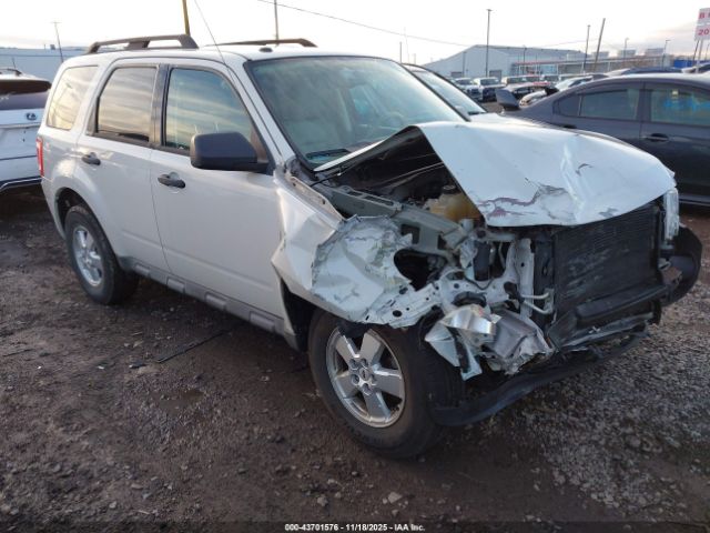 2009 FORD ESCAPE 1FMCU03G99KC25282