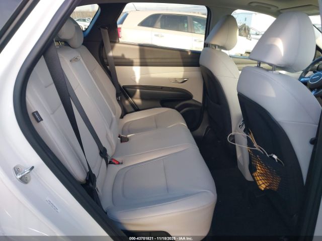 2025 HYUNDAI TUCSON HYBRID KM8JCDD13SU274015 Photo 7