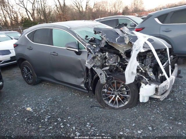 2023 LEXUS NX 250 2T2GDCAZ1PC003860