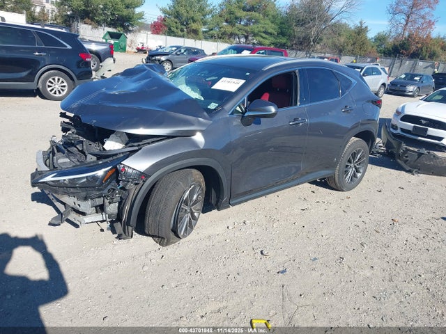 2023 LEXUS NX 250 2T2GDCAZ1PC003860 Photo 1