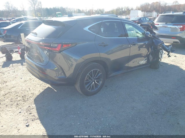 2023 LEXUS NX 250 2T2GDCAZ1PC003860 Photo 3