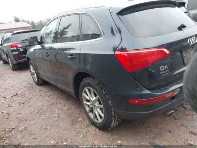 2010 AUDI Q5 WA1LKAFPXAA089647 Photo 2