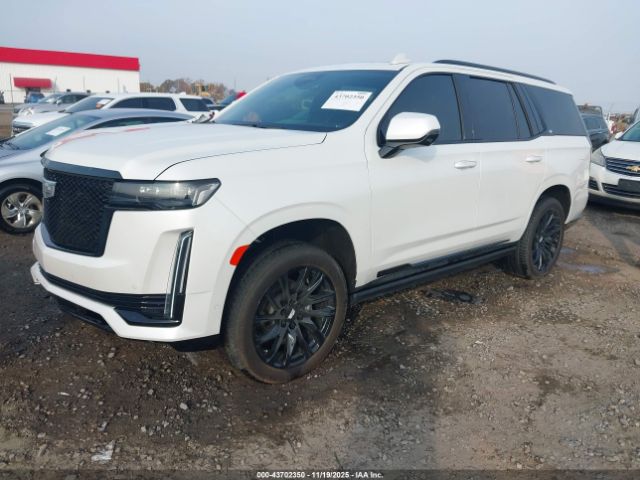 2024 CADILLAC ESCALADE 1GYS4GKL8RR303222 Photo 1