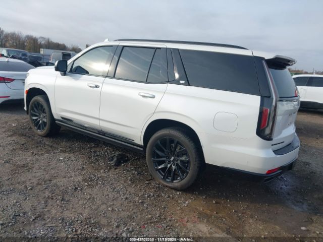2024 CADILLAC ESCALADE 1GYS4GKL8RR303222 Photo 2