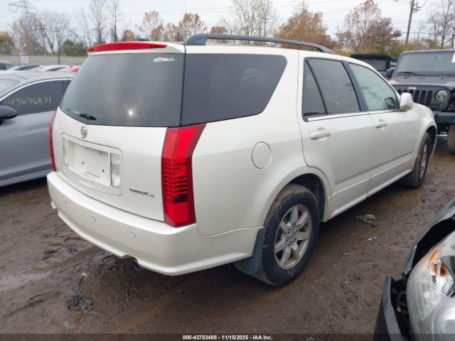 2009 CADILLAC SRX 1GYEE437190116645 Photo 3