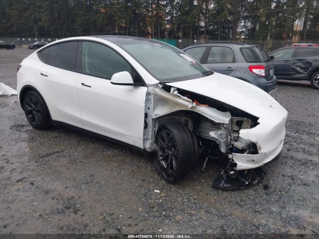2024 TESLA MODEL Y 7SAYGAEE7RF195993