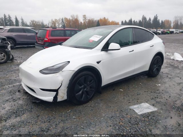 2024 TESLA MODEL Y 7SAYGAEE7RF195993 Photo 1
