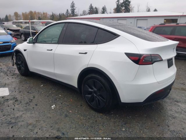 2024 TESLA MODEL Y 7SAYGAEE7RF195993 Photo 2