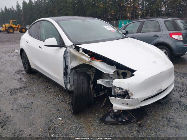 2024 TESLA MODEL Y 7SAYGAEE7RF195993 Photo 5