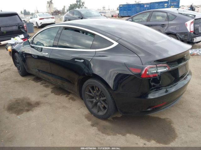 2019 TESLA MODEL 3 5YJ3E1EA7KF305781 Photo 2