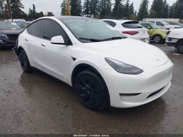 2025 TESLA MODEL Y 7SAYGAEE5SF306207