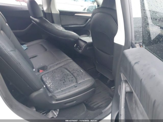 2025 TESLA MODEL Y 7SAYGAEE5SF306207 Photo 7