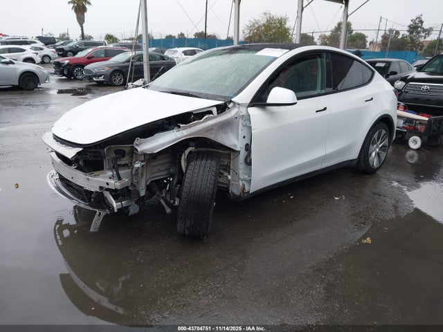 2023 TESLA MODEL Y 7SAYGAEE6PF744113 Photo 1