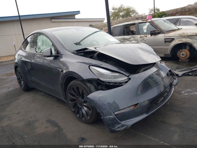 2023 TESLA MODEL Y 7SAYGDEF2PF941631 Photo 0