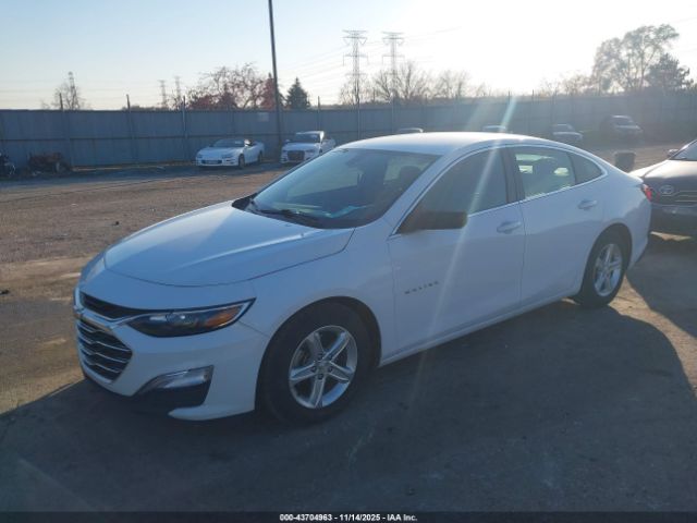 2021 CHEVROLET MALIBU 1G1ZB5ST6MF045882 Photo 1