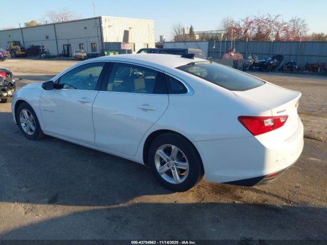 2021 CHEVROLET MALIBU 1G1ZB5ST6MF045882 Photo 2