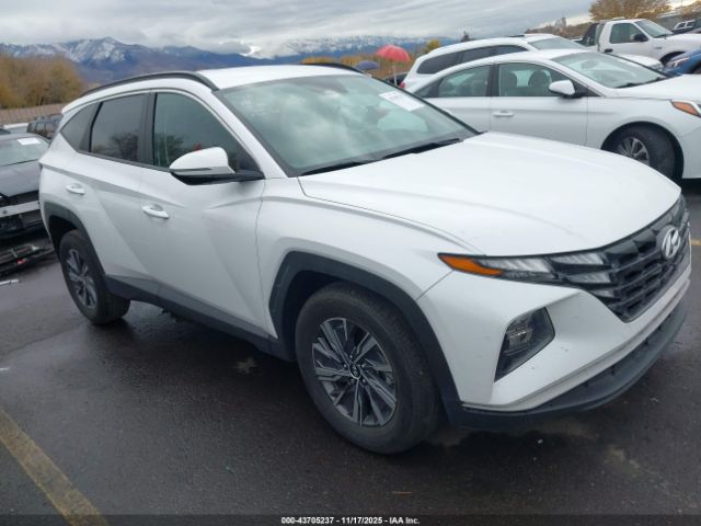 2022 HYUNDAI TUCSON HYBRID KM8JBCA11NU045645