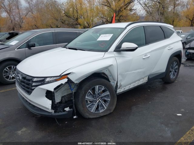 2022 HYUNDAI TUCSON HYBRID KM8JBCA11NU045645 Photo 1