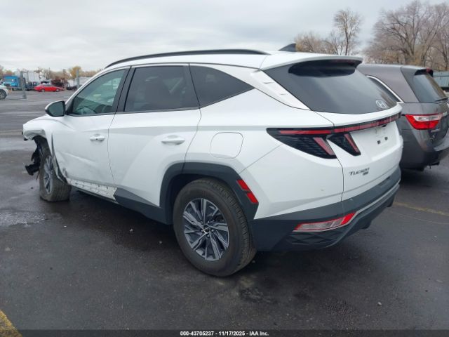 2022 HYUNDAI TUCSON HYBRID KM8JBCA11NU045645 Photo 2