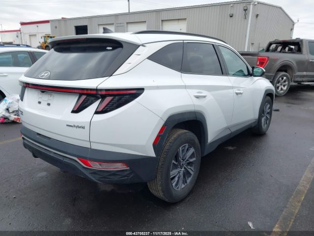 2022 HYUNDAI TUCSON HYBRID KM8JBCA11NU045645 Photo 3