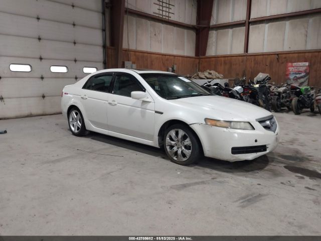 2004 ACURA TL 19UUA66284A032528 Photo 0