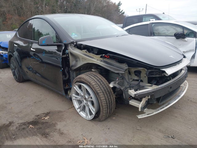 2021 TESLA MODEL Y 5YJYGDEE3MF068715 Photo 0