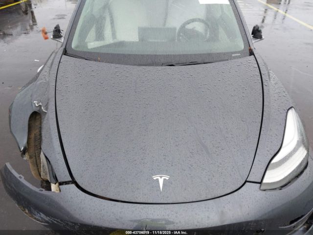 2019 TESLA MODEL 3 5YJ3E1EB1KF195724 Photo 9