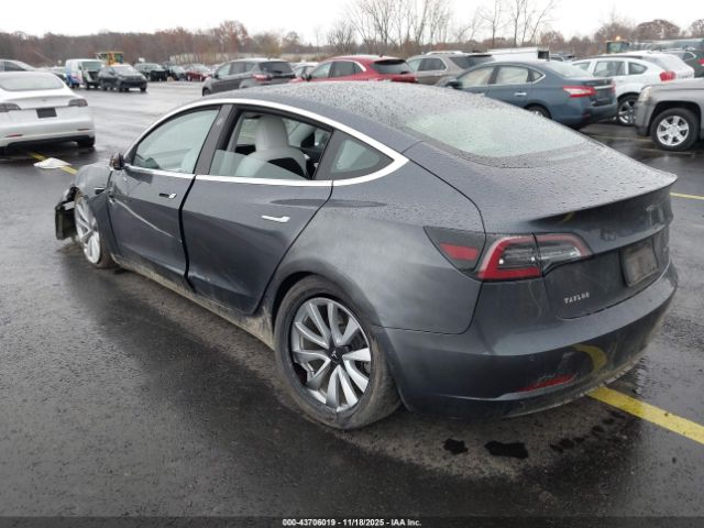2019 TESLA MODEL 3 5YJ3E1EB1KF195724 Photo 2