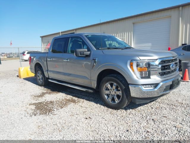 2023 FORD F-150 1FTEW1CP2PKD52661